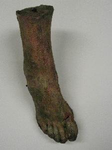 Foot: Cast in latex from a plaster mould and painted into to look decayed