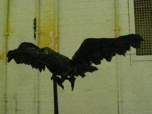 Raven puppet: Made with various materials. The raven is raised on a detachable banboo stick and when animated the wings move. Designed by Steve Denton for Noyes Fludd