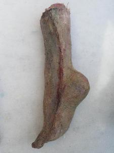 Foot: Cast in latex from a plaster mould and painted into to look decayed