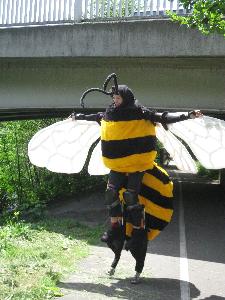 Bumble Bees made for Eco Street Theatre